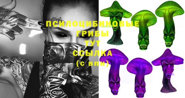 дживик Арсеньев