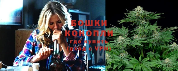 дживик Арсеньев