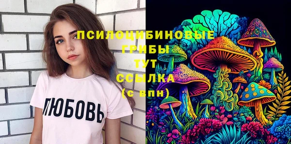 соль ск Аркадак