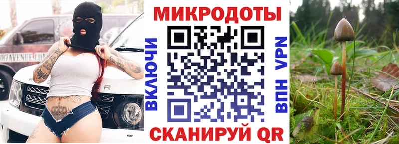 Псилоцибиновые грибы прущие грибы  Купить  Суджа 