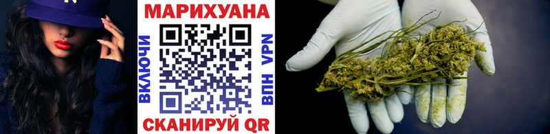 Конопля планчик  Купить  Суджа 